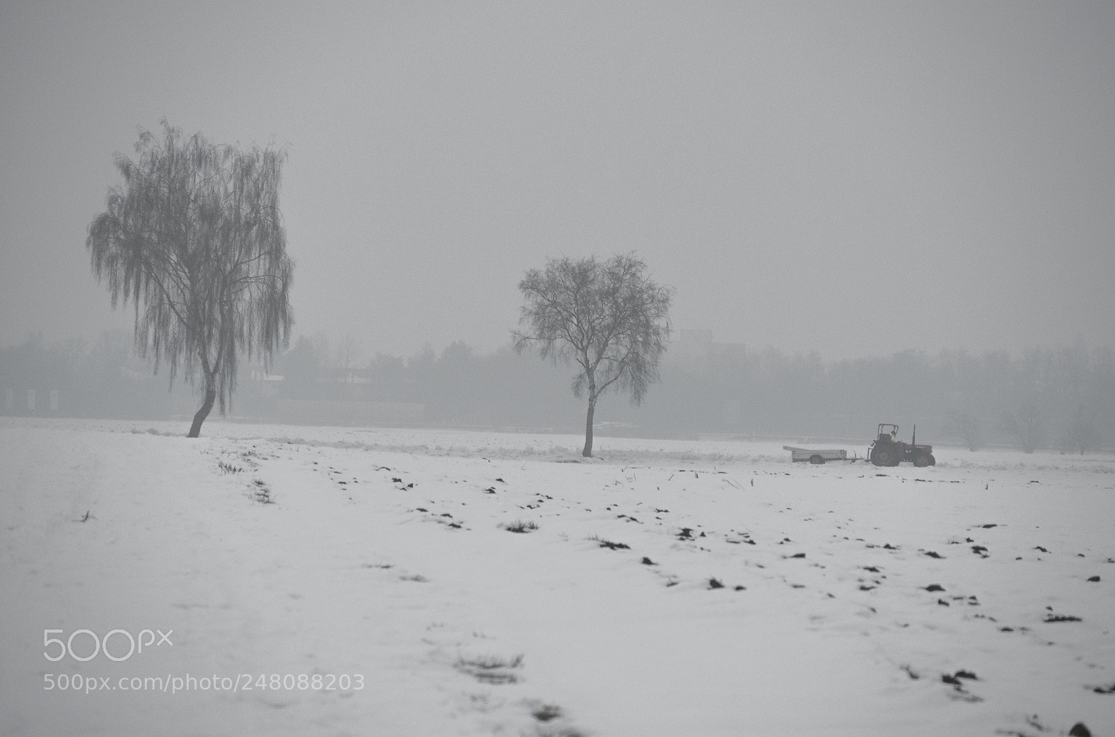 Panasonic DMC-G70 sample photo. Winter field and trees photography