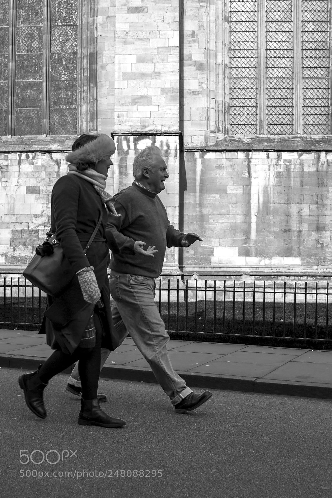 Canon EOS 550D (EOS Rebel T2i / EOS Kiss X4) sample photo. Jaunty enthusiasm photography