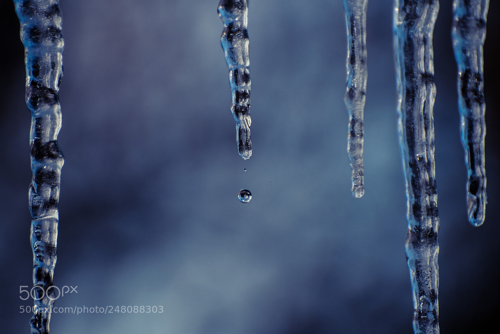 Nikon D810 sample photo. Waterdrop falling from icicle photography