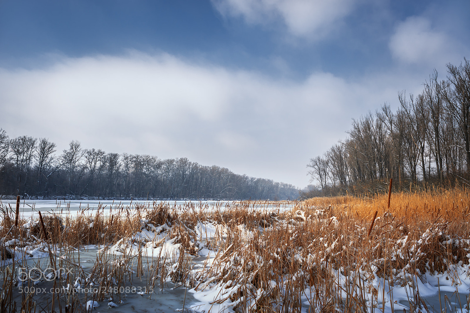 Nikon D700 sample photo. Deep breath photography