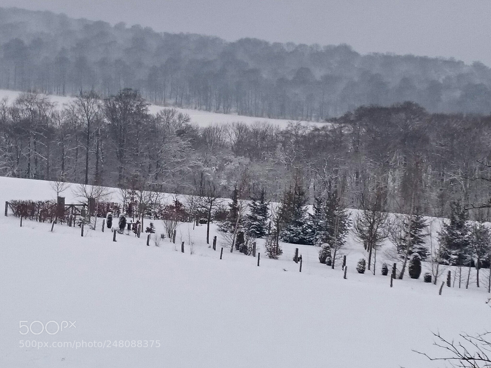 Sony Xperia Z2 sample photo. Winterzeit photography