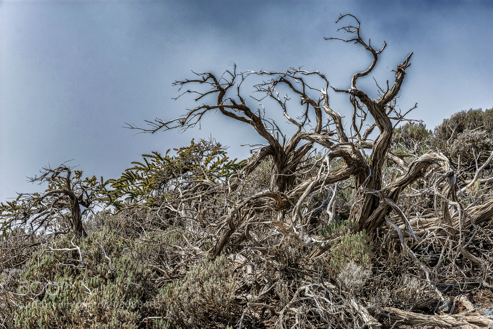 Nikon D7200 sample photo. On pico de la photography