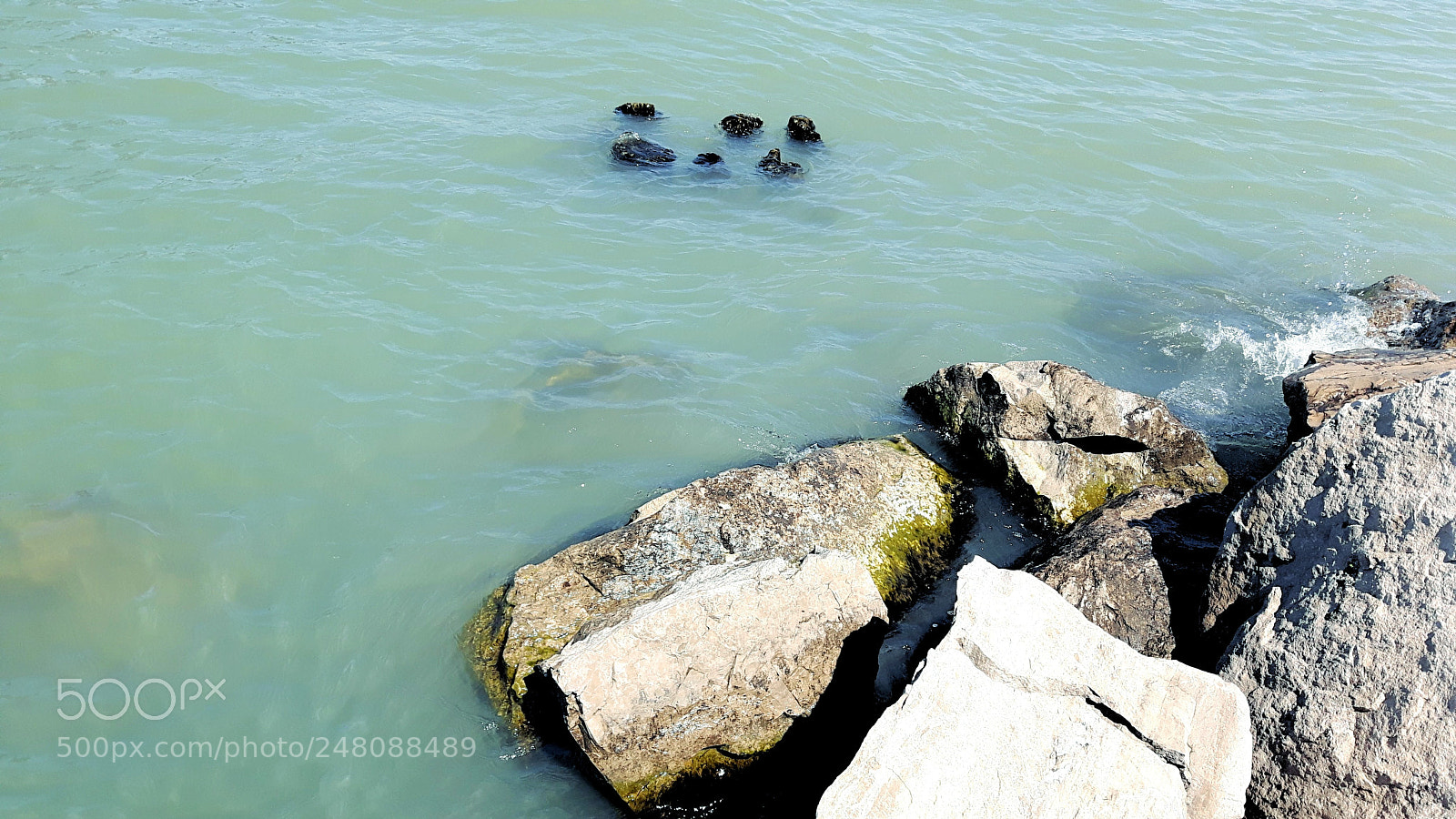 Samsung Galaxy S5 Neo sample photo. Water photography