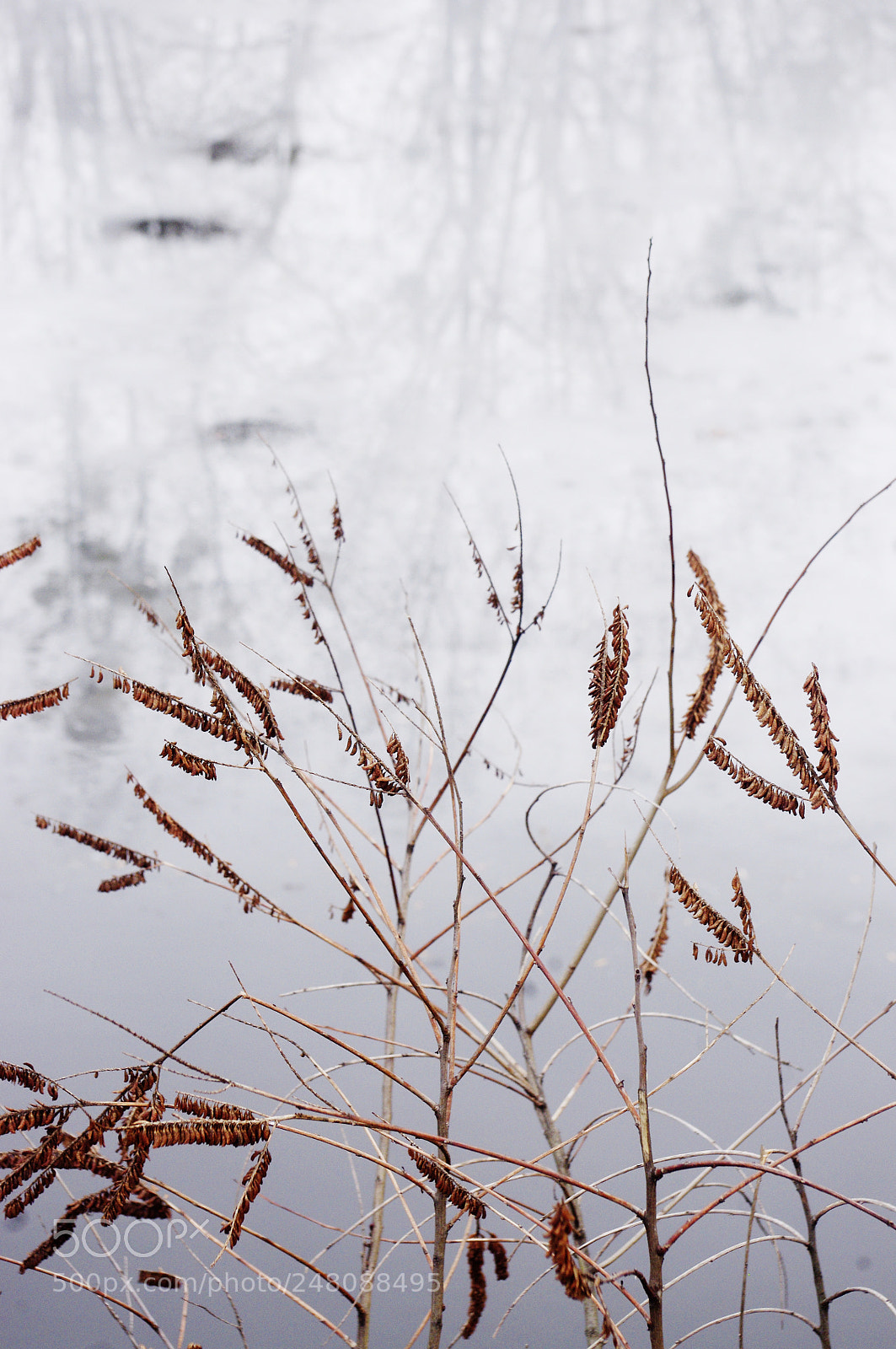 Pentax K-x sample photo. Magic arrows photography