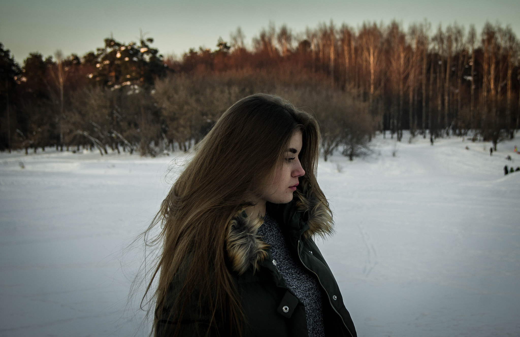 Sony Alpha DSLR-A550 sample photo. Winter photography