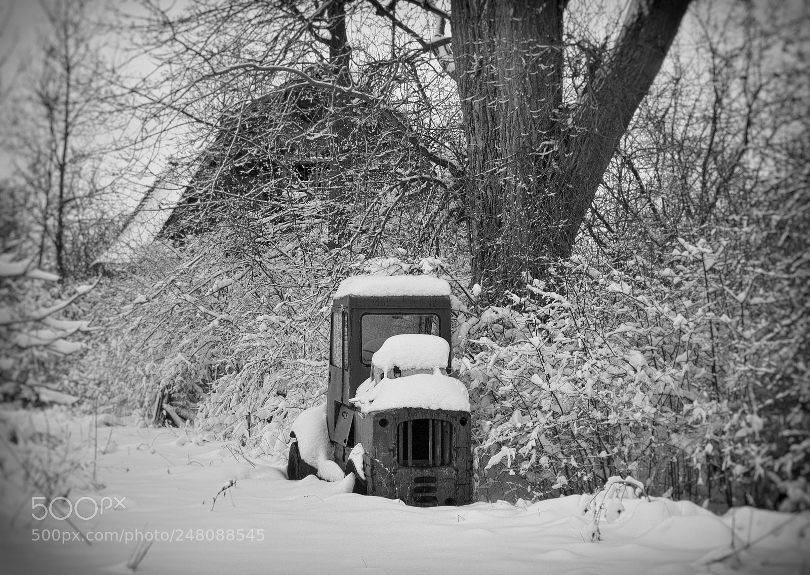 Nikon D40 sample photo. Snowy day photography
