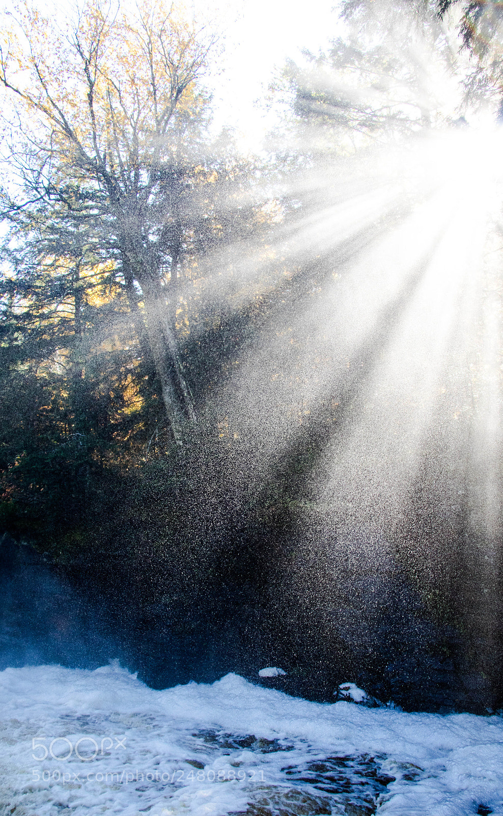Canon EOS 7D Mark II sample photo. Mist photography
