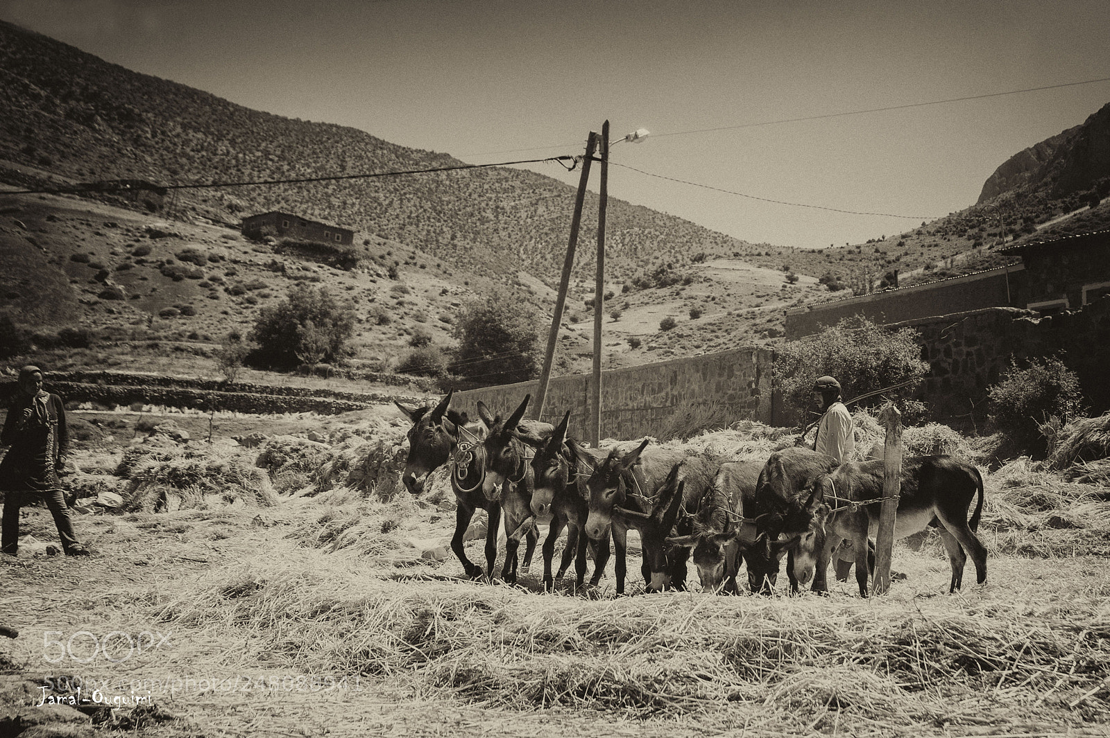 Nikon D700 sample photo. Traditional wheat thrashing photography