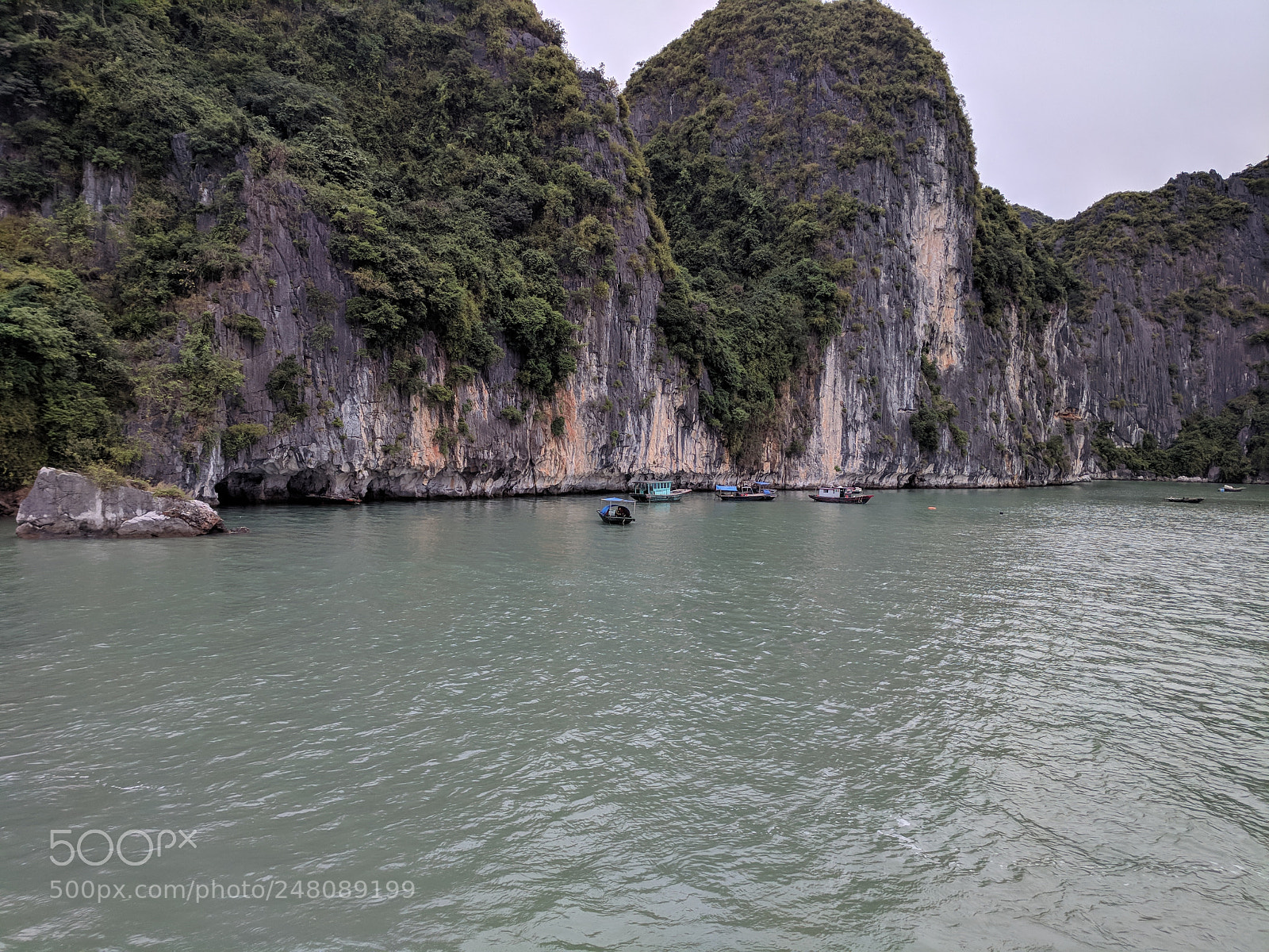 Google Pixel sample photo. Untitled photography
