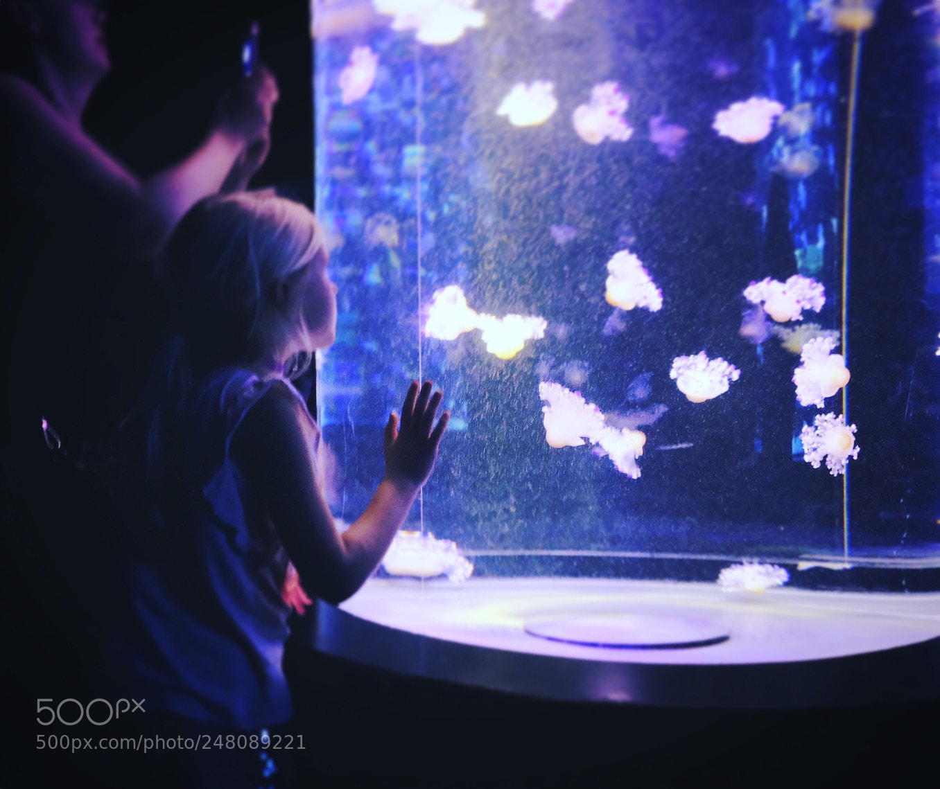 Fujifilm X-T20 sample photo. Aquarium photography