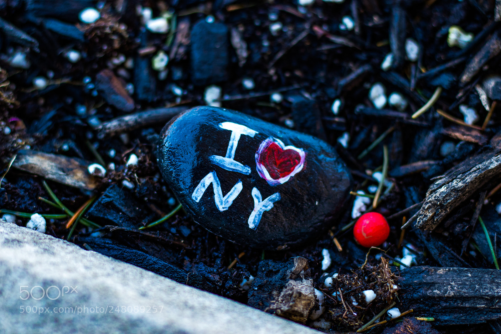 Canon EOS 800D (EOS Rebel T7i / EOS Kiss X9i) sample photo. I <3 ny photography