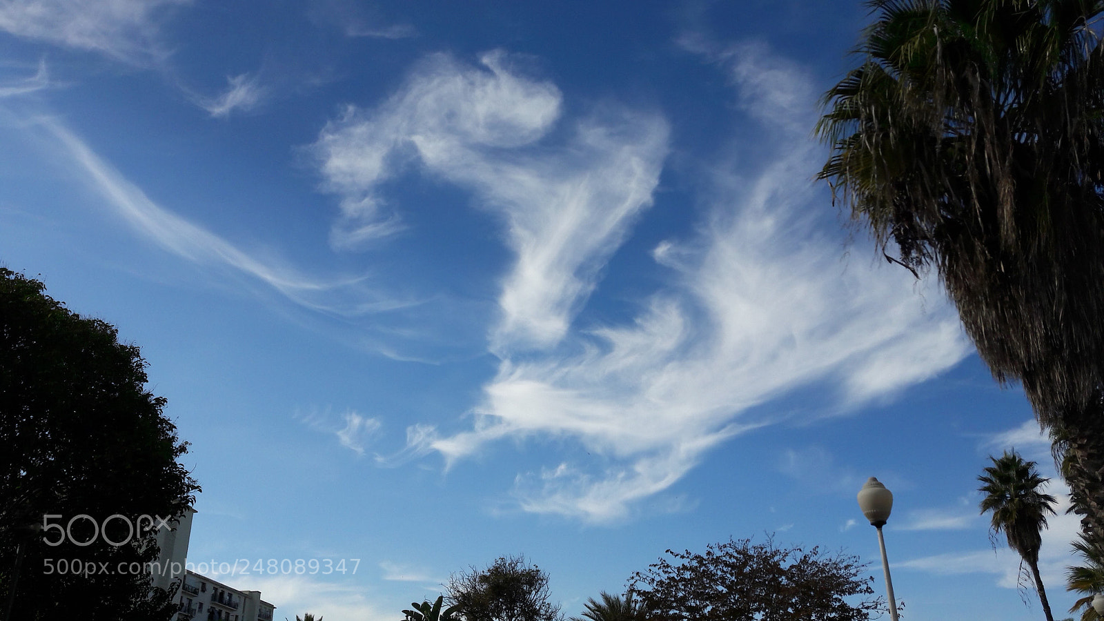 Samsung Galaxy A5(2016) sample photo. Nice blue sky photography