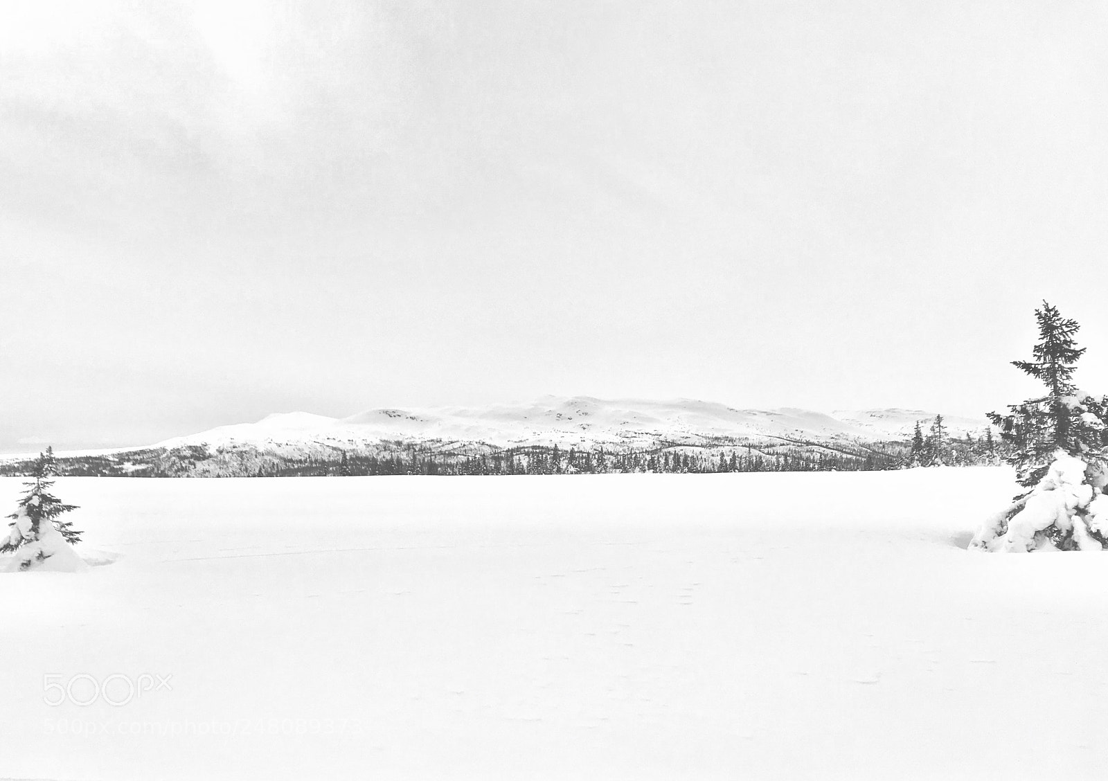 Apple iPhone 7 sample photo. Cross country skiing in photography