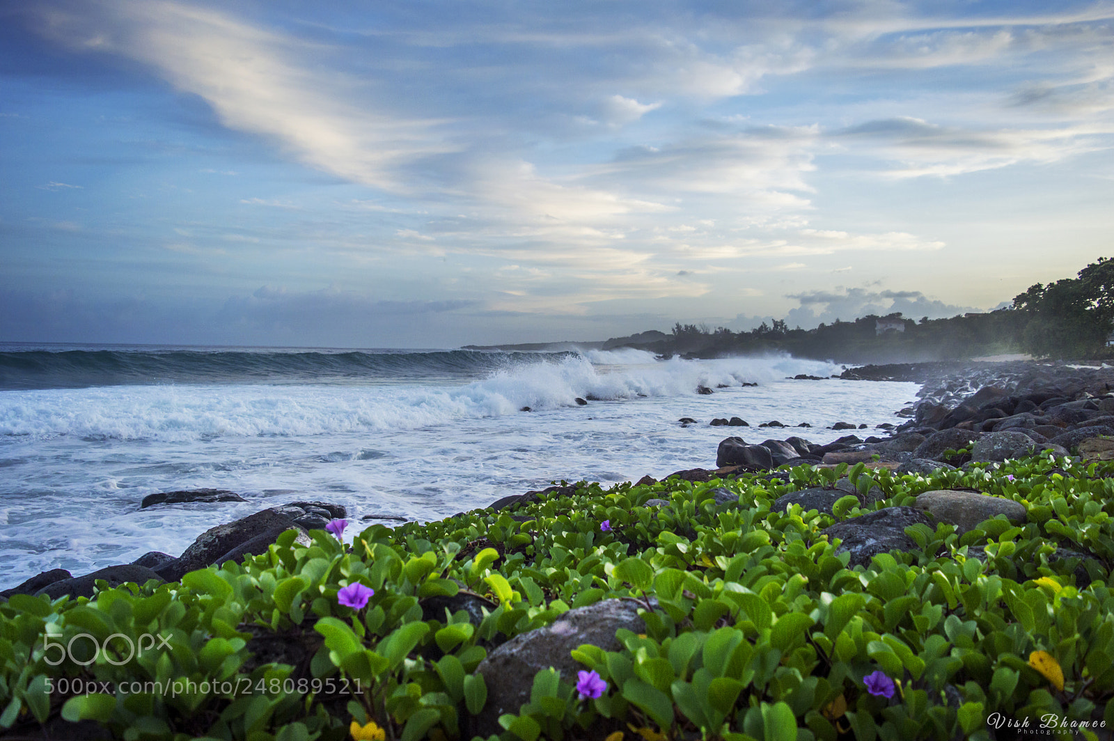 Nikon D3200 sample photo. Morning vibe photography