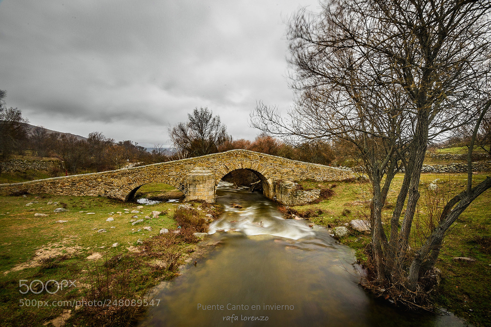 Nikon D810 sample photo. Puente canto en invierno photography