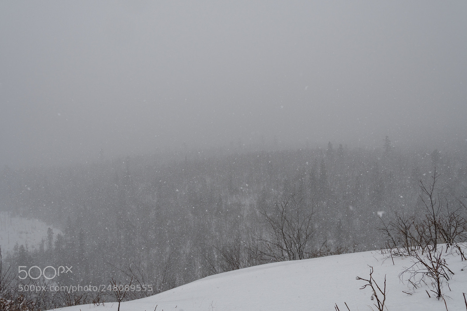Nikon D500 sample photo. Tettegouche state park photography