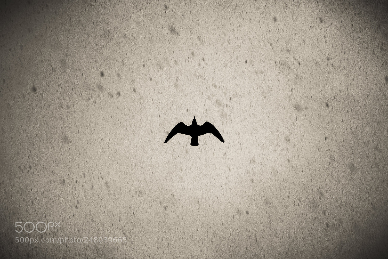 Nikon D810 sample photo. Trajectory photography
