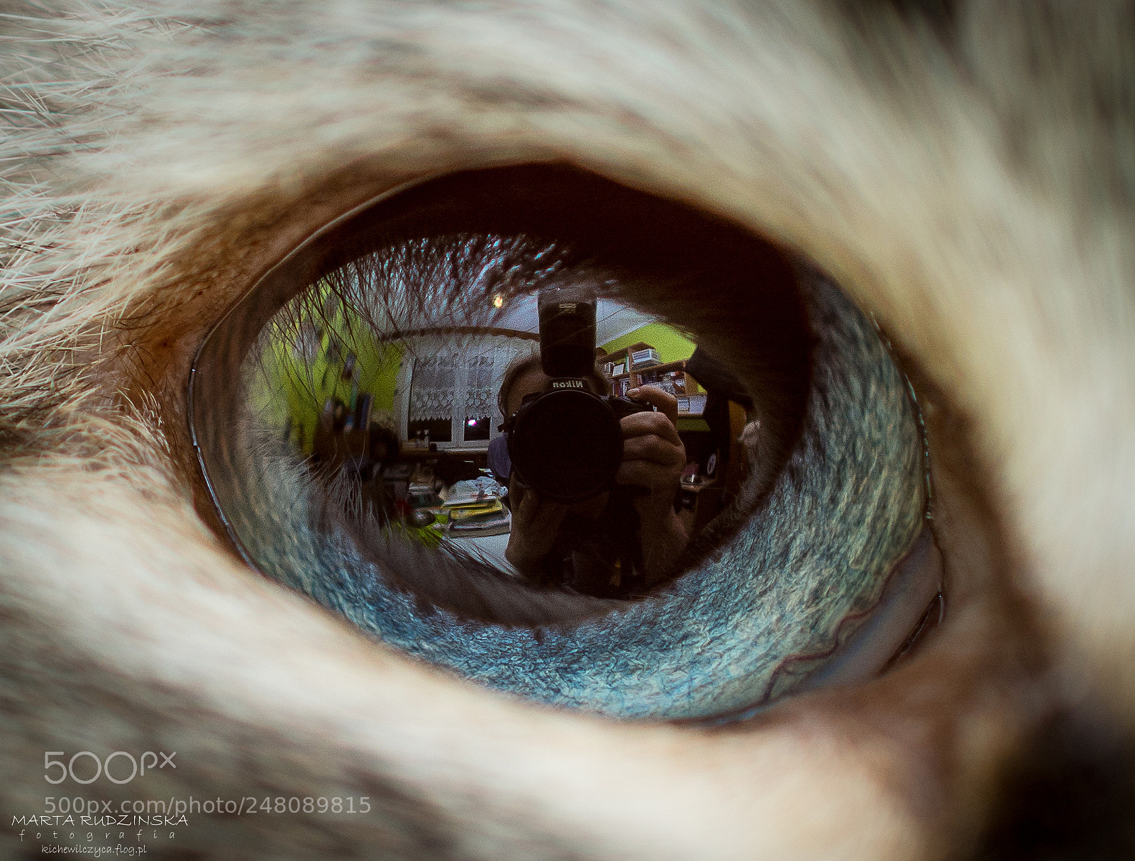 Nikon D7100 sample photo. Selfie photography