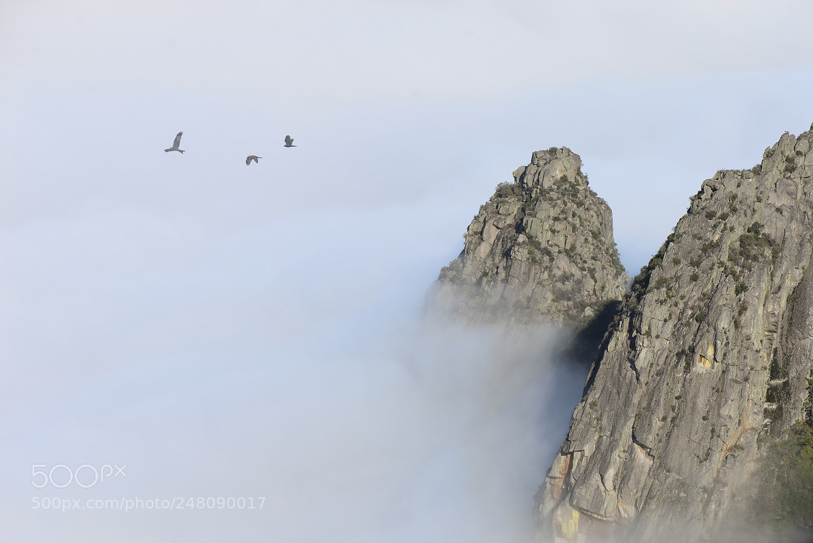 Nikon D610 sample photo. Mist in the mountains photography