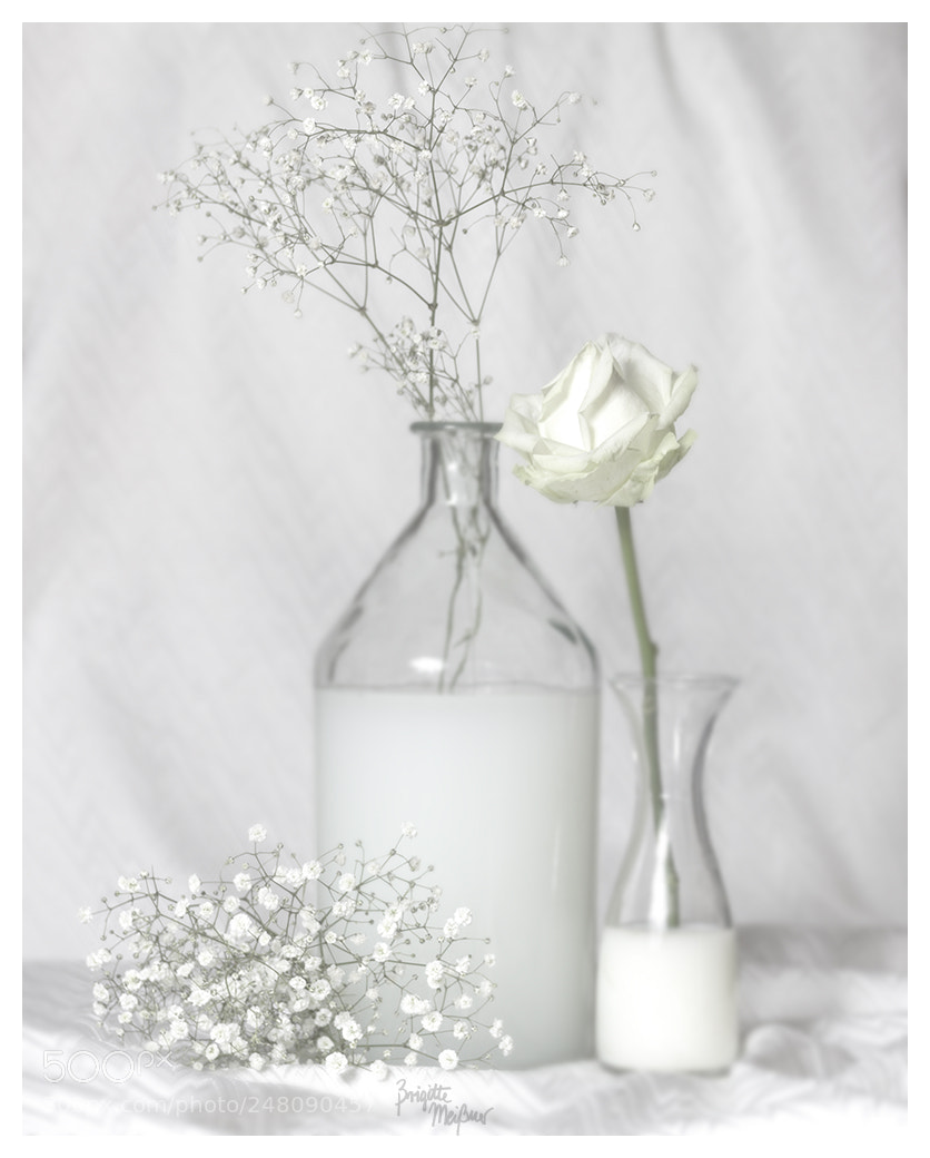 Canon EOS 60D sample photo. White 1 photography