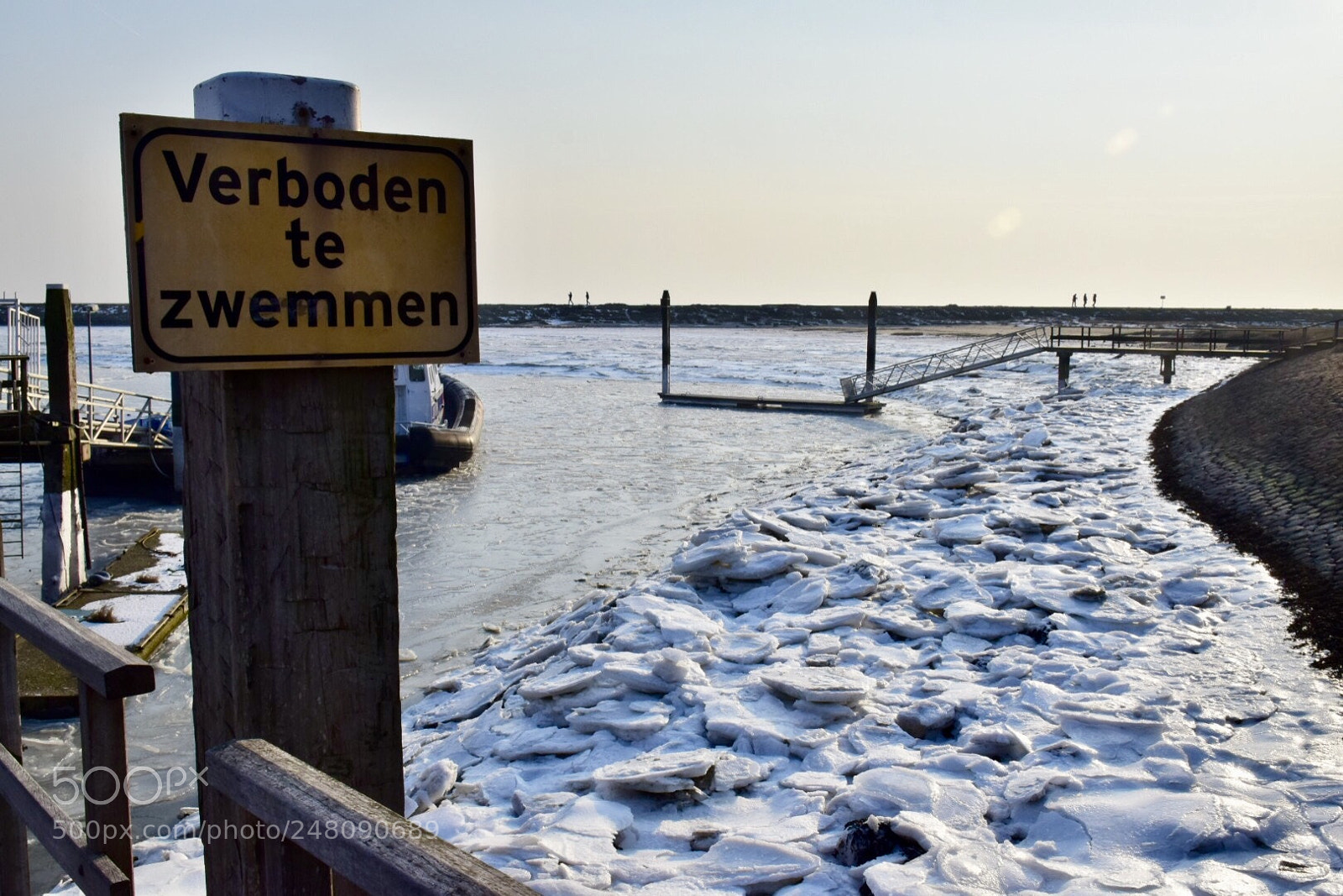 Nikon D5300 sample photo. No swimming photography