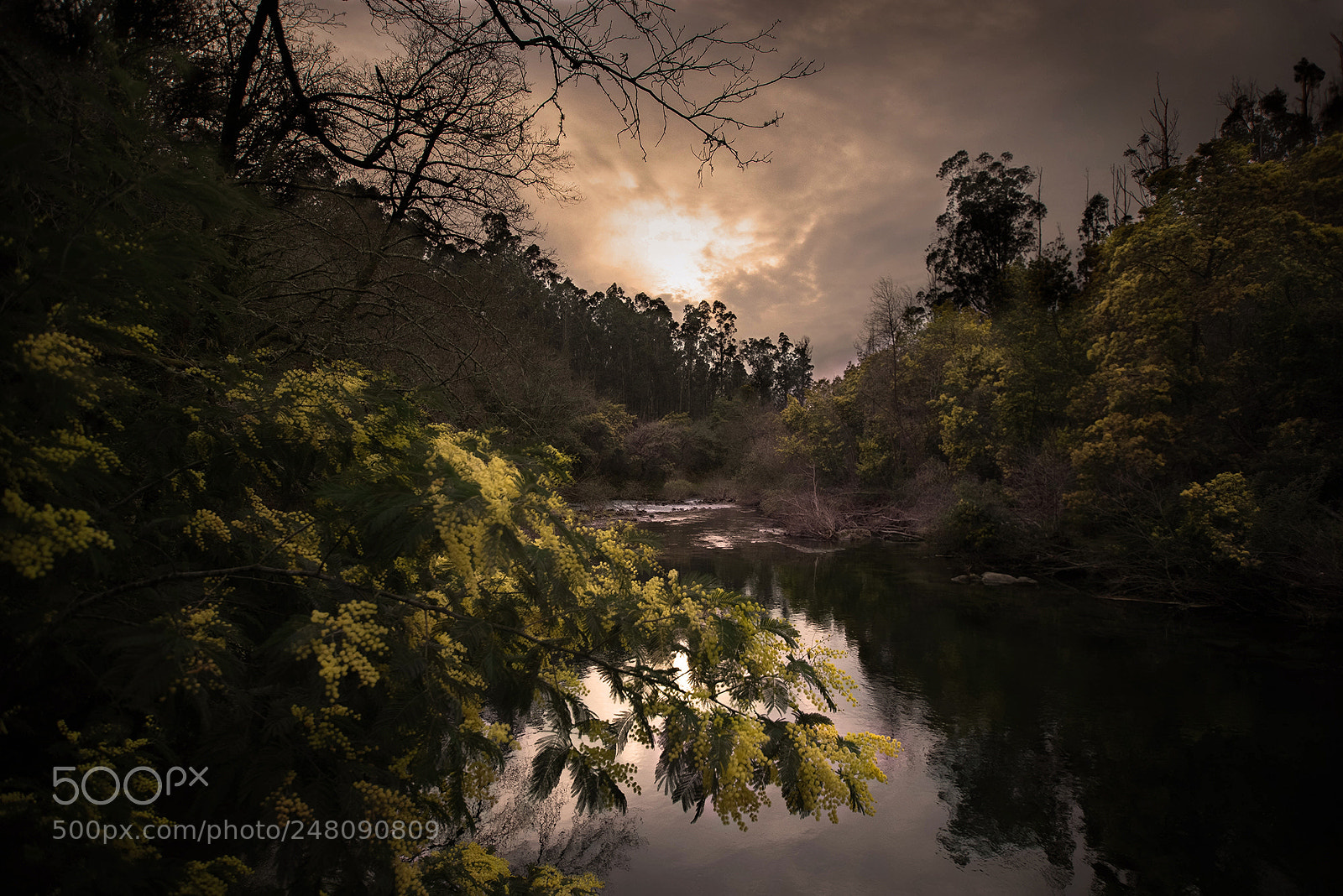 Nikon D610 sample photo. Storm in the river photography