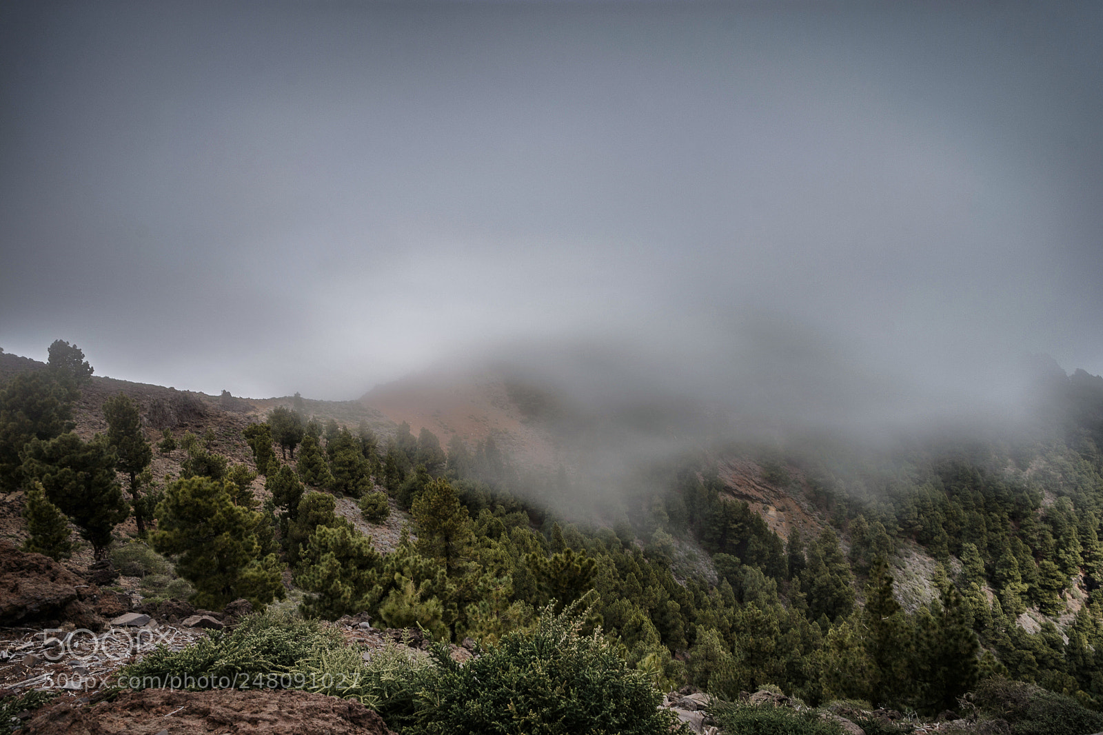 Nikon D7200 sample photo. On pico de la photography