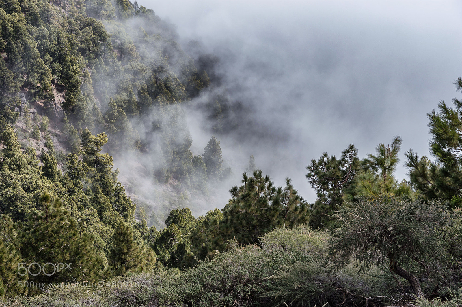 Nikon D7200 sample photo. On pico de la photography