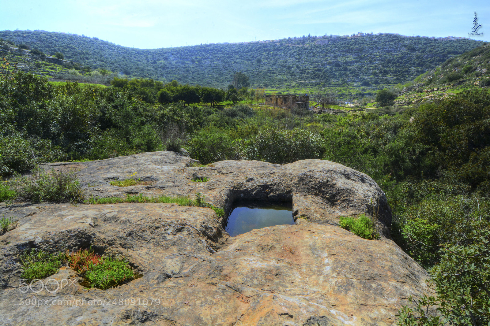 Nikon D7100 sample photo. Wadi qana - palestine photography