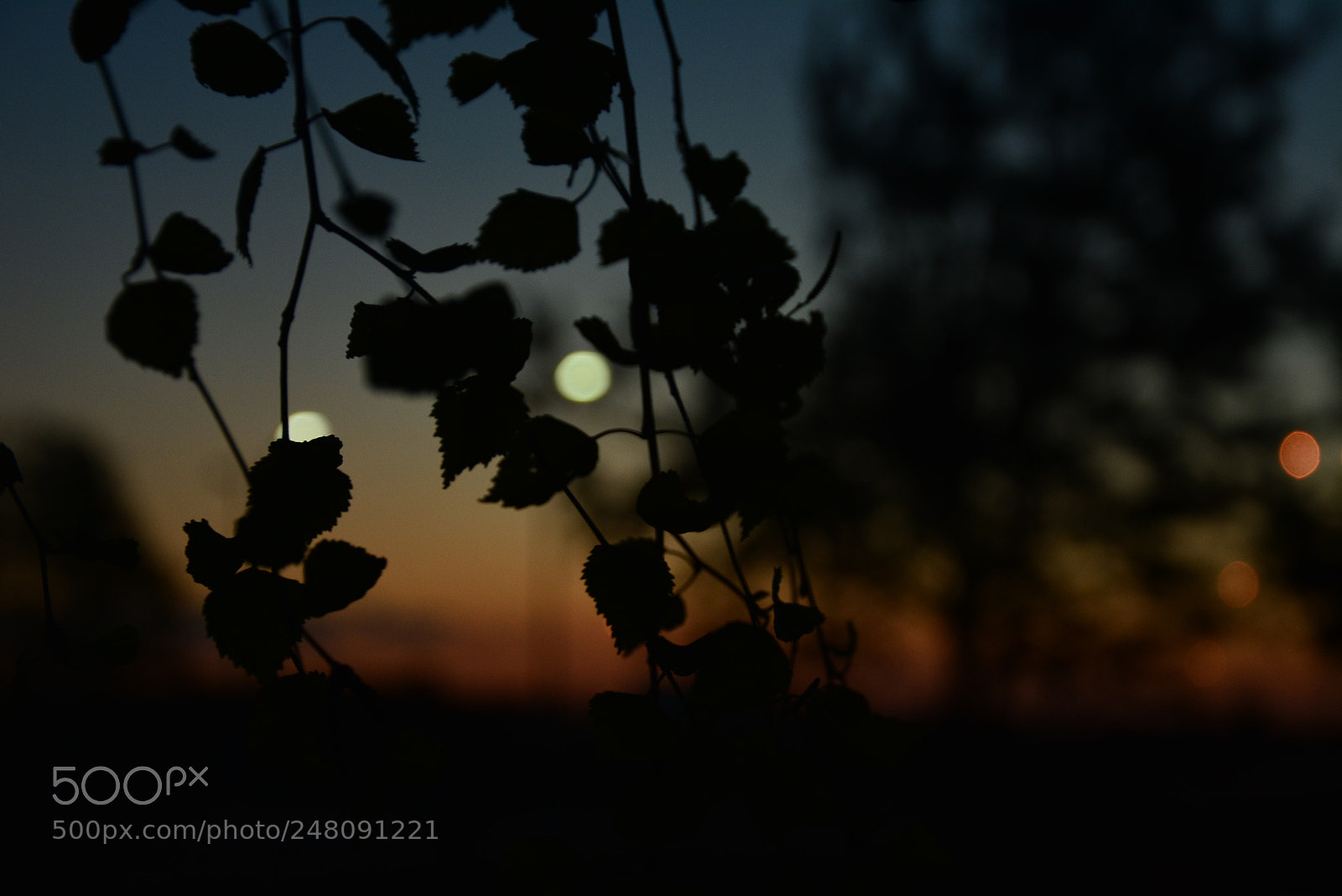 Nikon D5200 sample photo. # photography