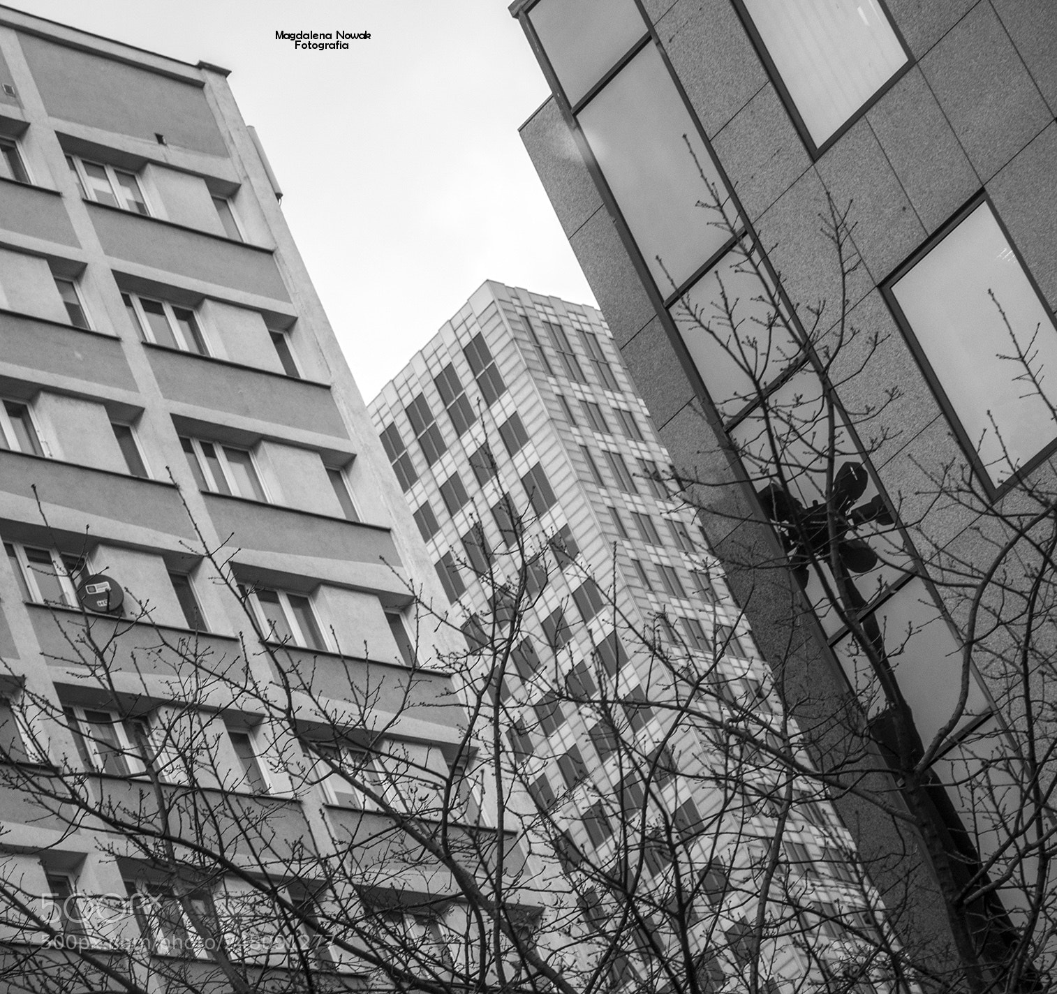 Nikon D90 sample photo. X photography