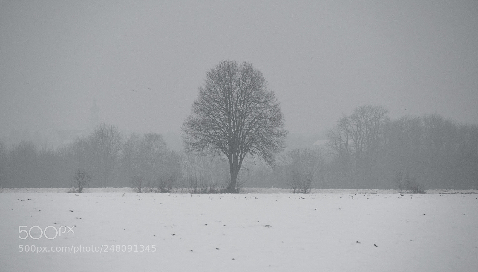 Panasonic DMC-G70 sample photo. Winter photography