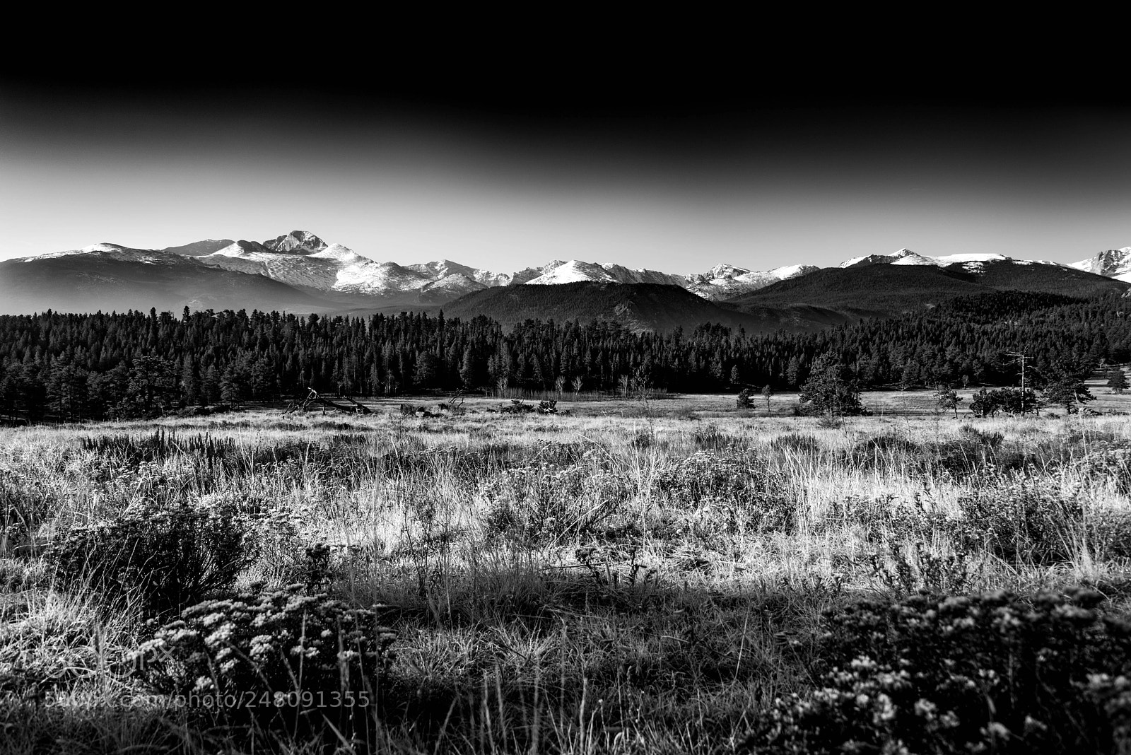 Nikon D810 sample photo. Estes park photography