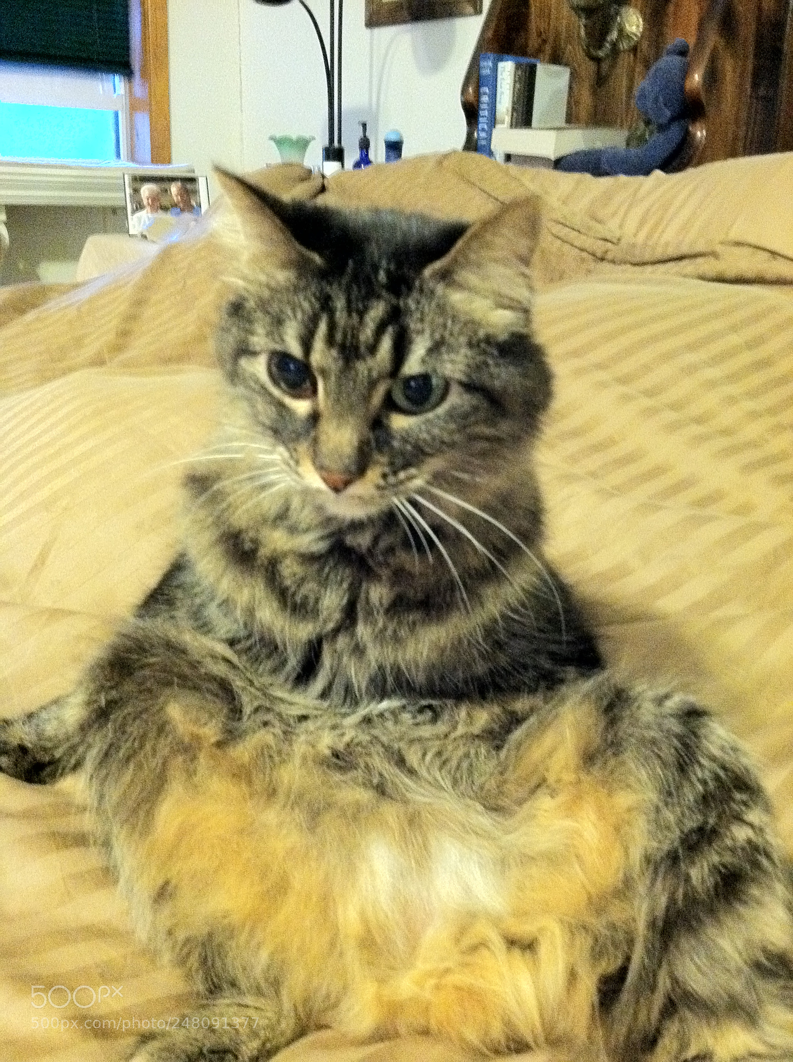 Apple iPhone 4 sample photo. What you looking at? photography