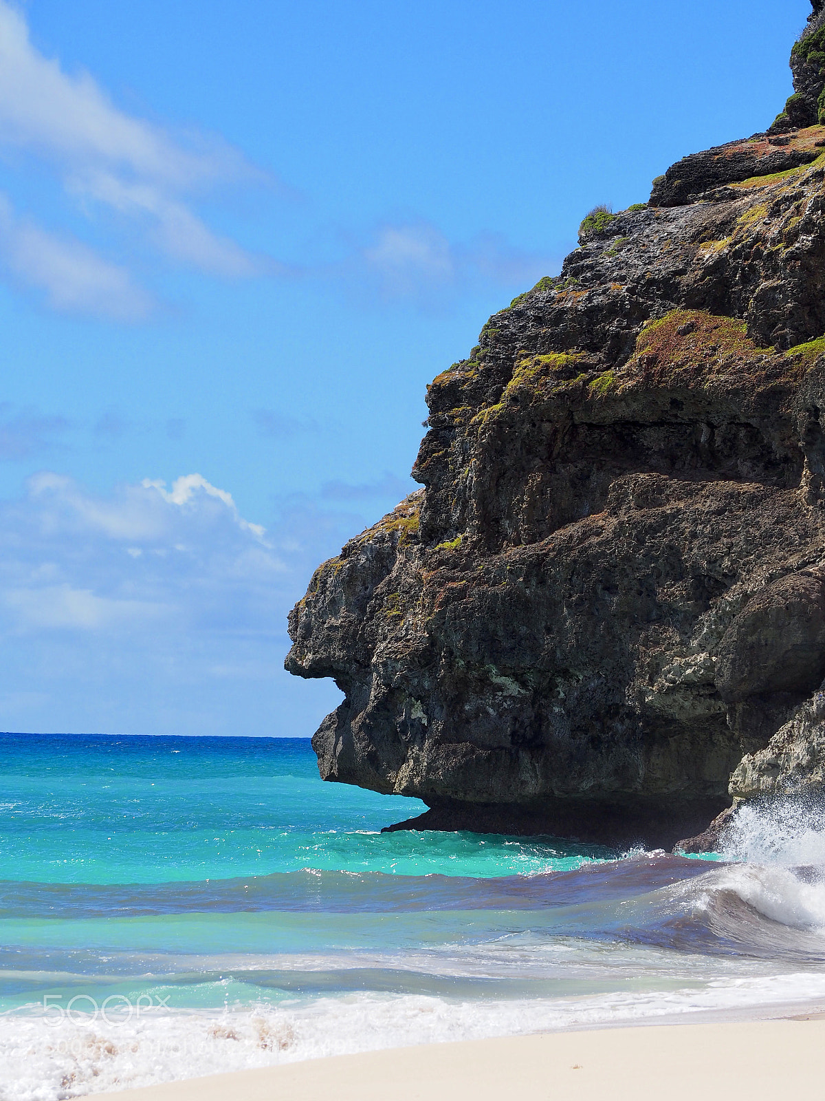 Olympus OM-D E-M10 II sample photo. The wise old rock photography