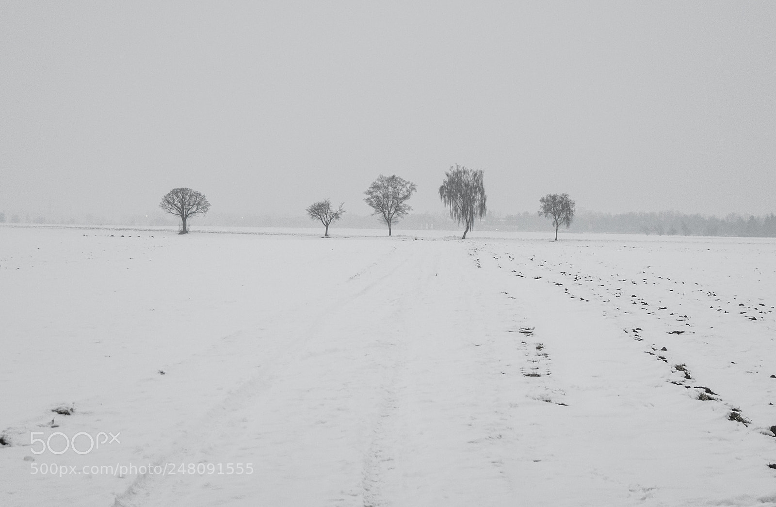 Panasonic DMC-G70 sample photo. Winter photography