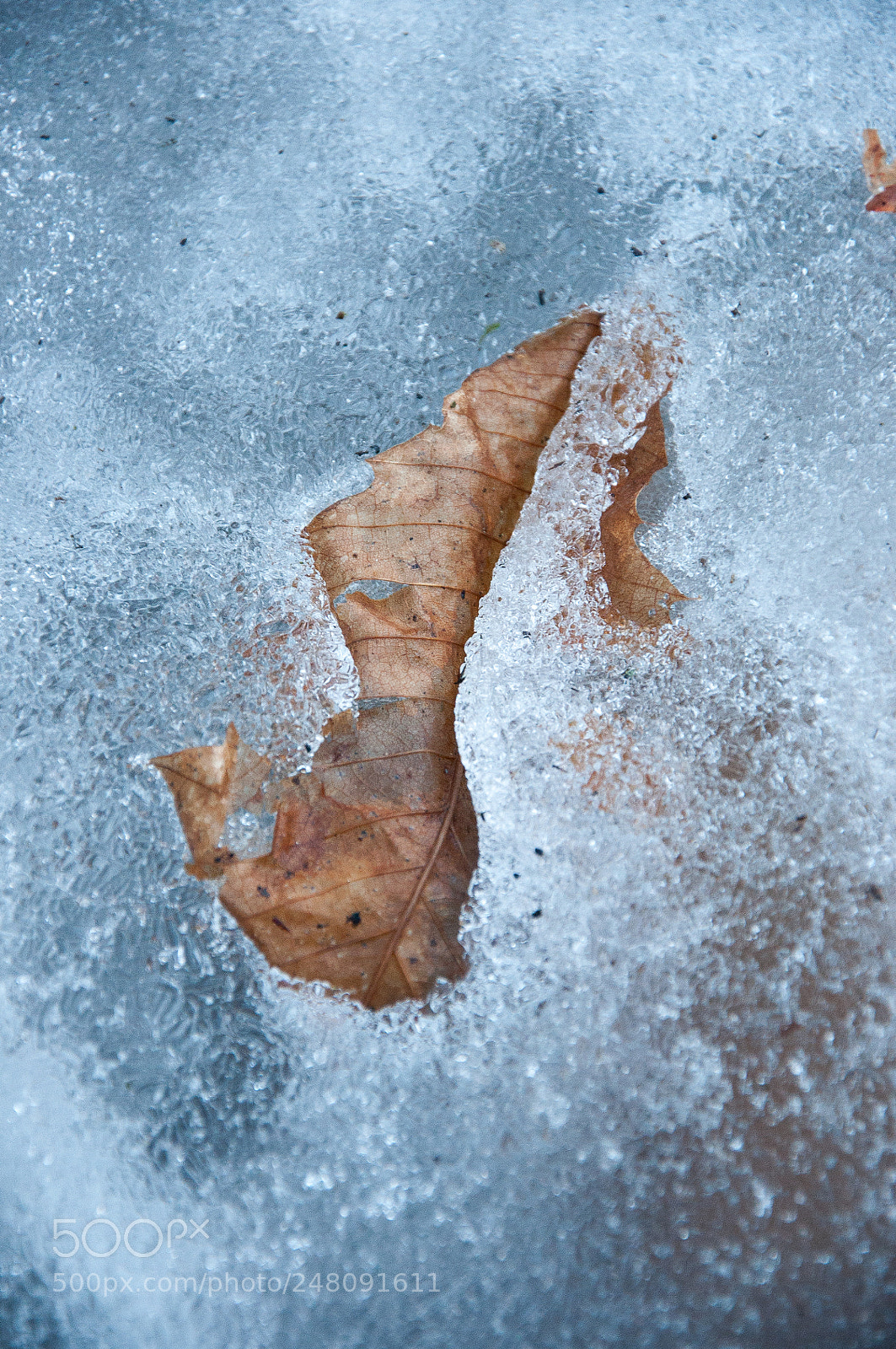 Nikon D90 sample photo. Ice photography