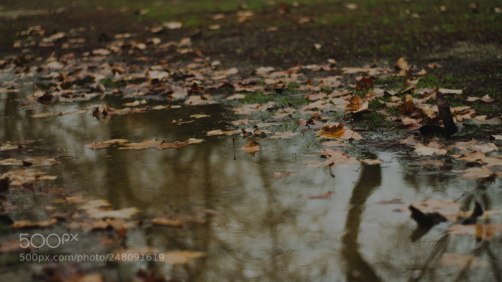 Canon EOS 1100D (EOS Rebel T3 / EOS Kiss X50) sample photo. Water nature photography