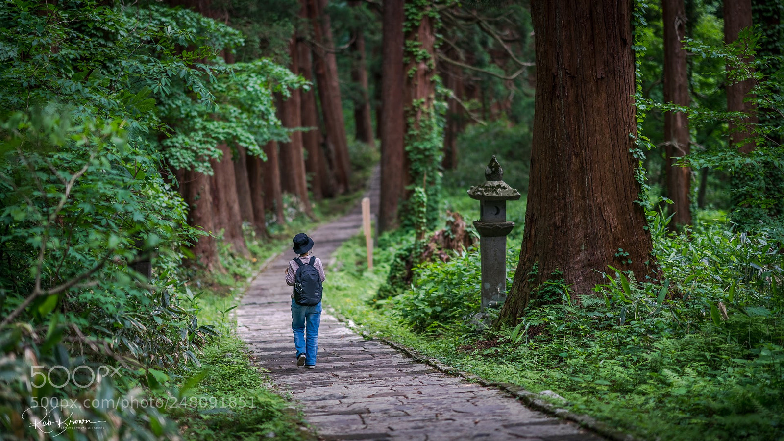 Sony a7R II sample photo. Hiking japan photography