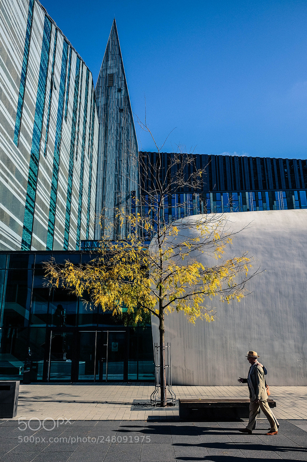Fujifilm X70 sample photo. Last leafs, uni leipzig photography