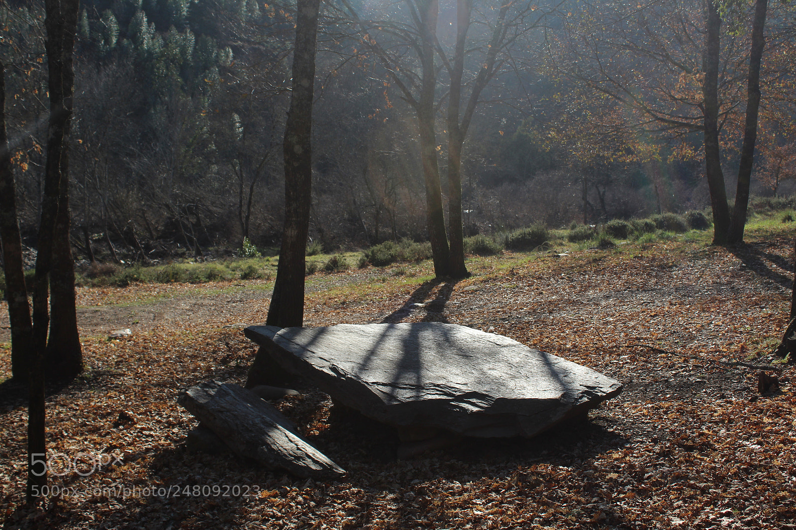 Canon EF-S 18-55mm F3.5-5.6 III sample photo. The silence of the photography