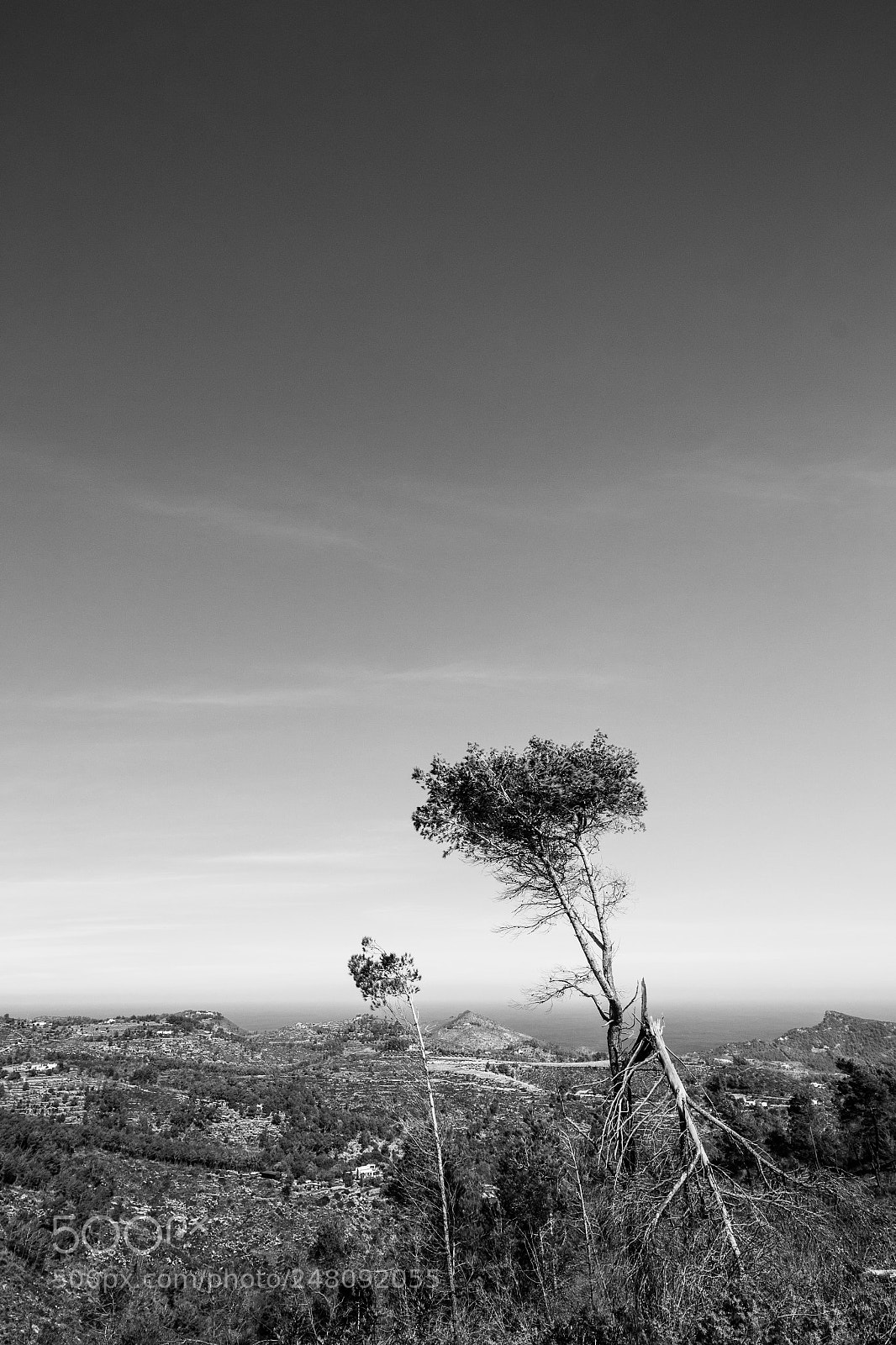 Canon EOS 100D (EOS Rebel SL1 / EOS Kiss X7) sample photo. The broken branch photography