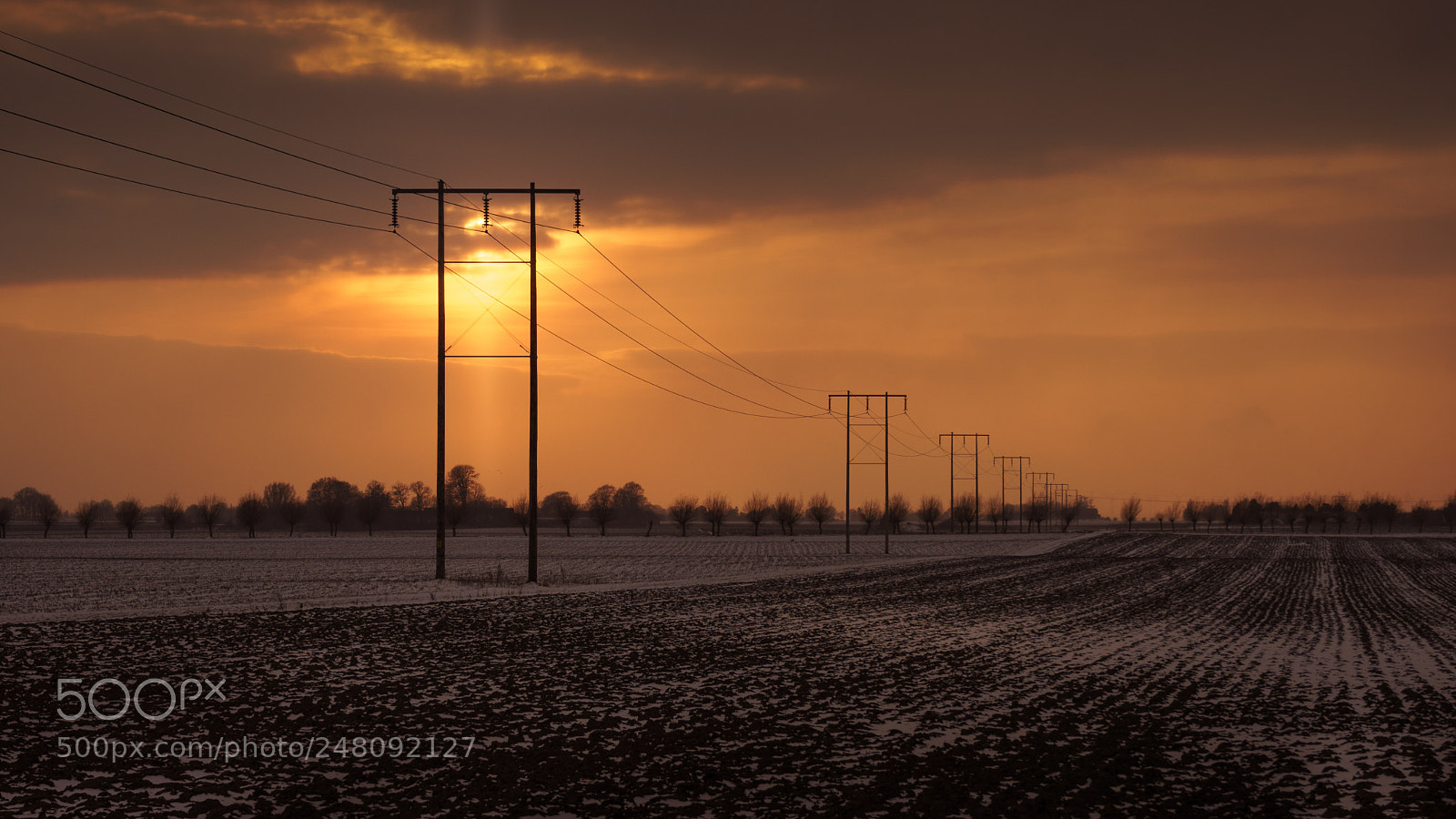 Sony a7 sample photo. Burnished gold photography