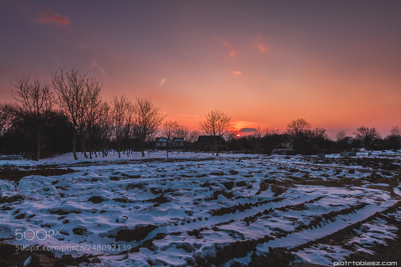 Canon EOS 7D sample photo. Sunset photography