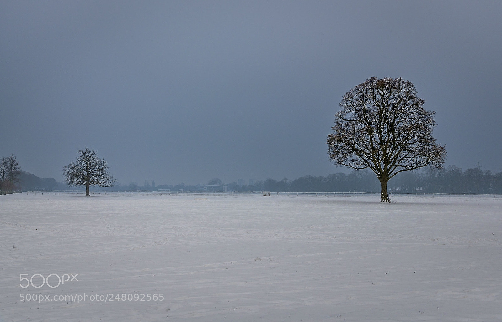 Nikon D850 sample photo. Snow day in worcester photography