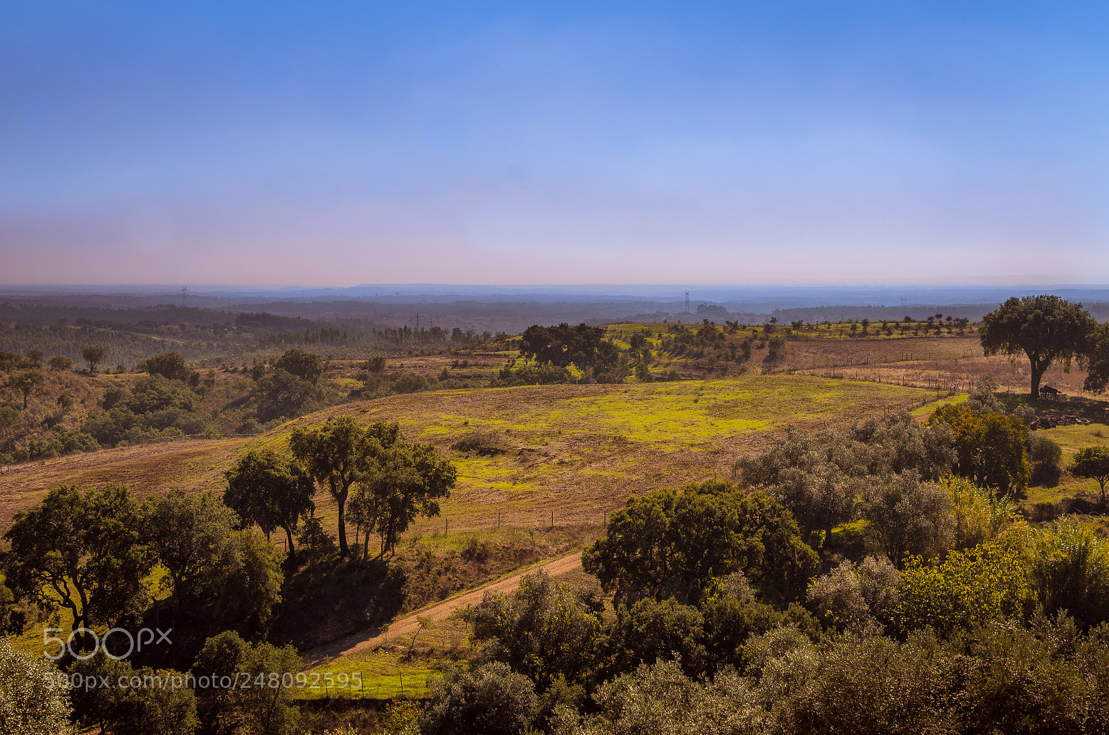 Nikon D5100 sample photo. Sunset under alentejo fields photography