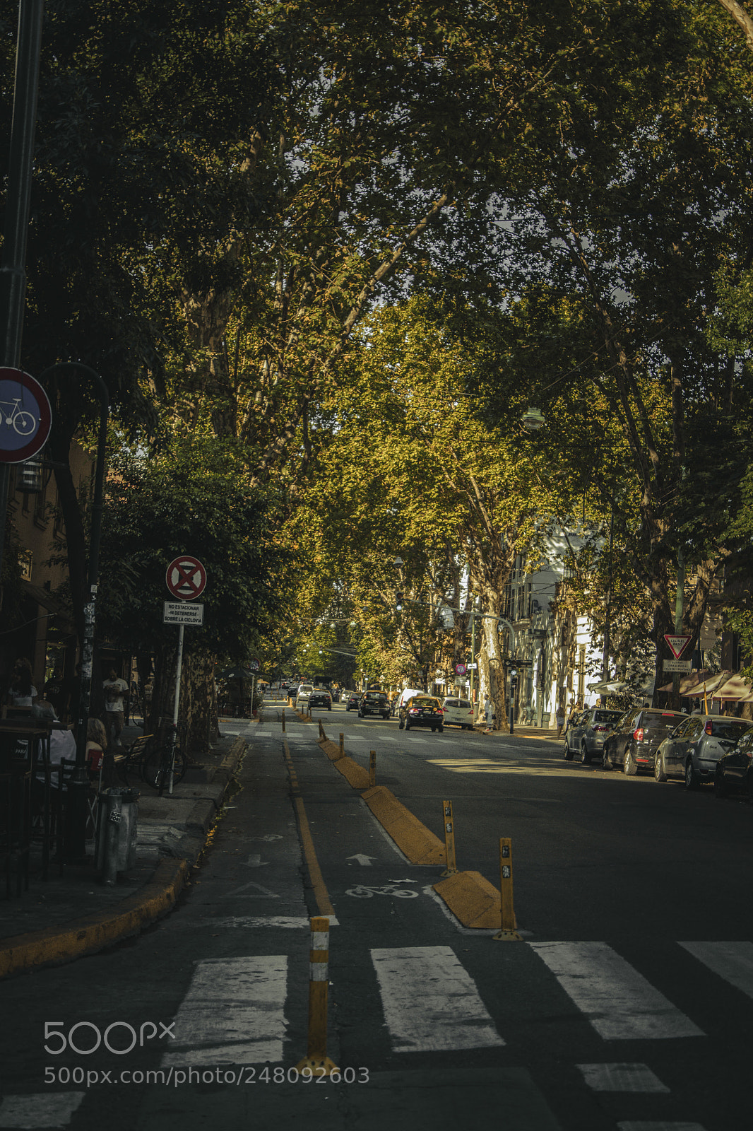 Nikon D5300 sample photo. Street photography