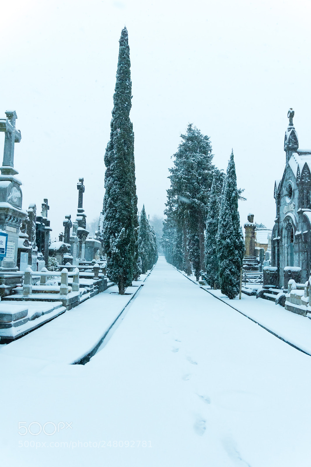 Nikon D500 sample photo. Donosti nieve photography