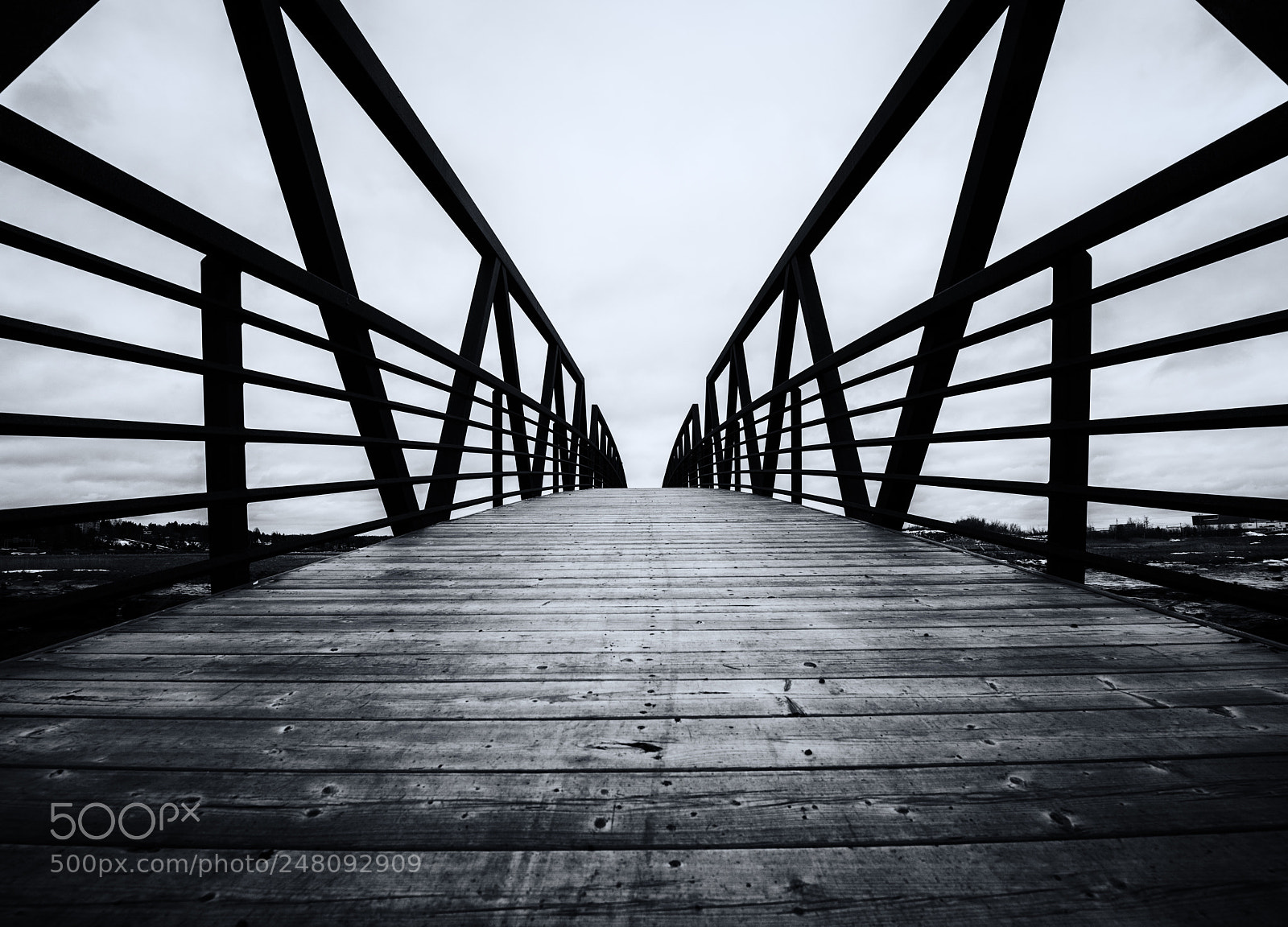 Nikon D810 sample photo. Walkway photography