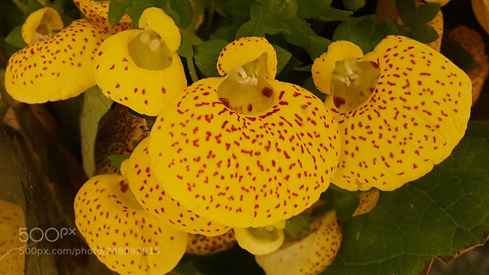 Samsung Galaxy Note4 sample photo. Untitled photography